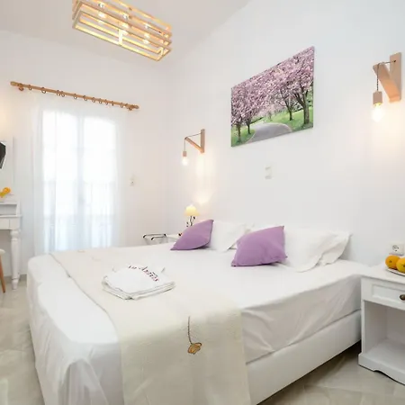Anixis Aparthotel Naxos City
